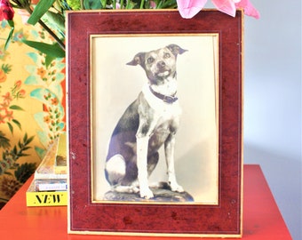 Jack Russell Dog +  Pet Portrait + Dog Mom Gift + Vintage Dog Photo + Professional Pet Photo + Old Black and White Photo + Dog Dad