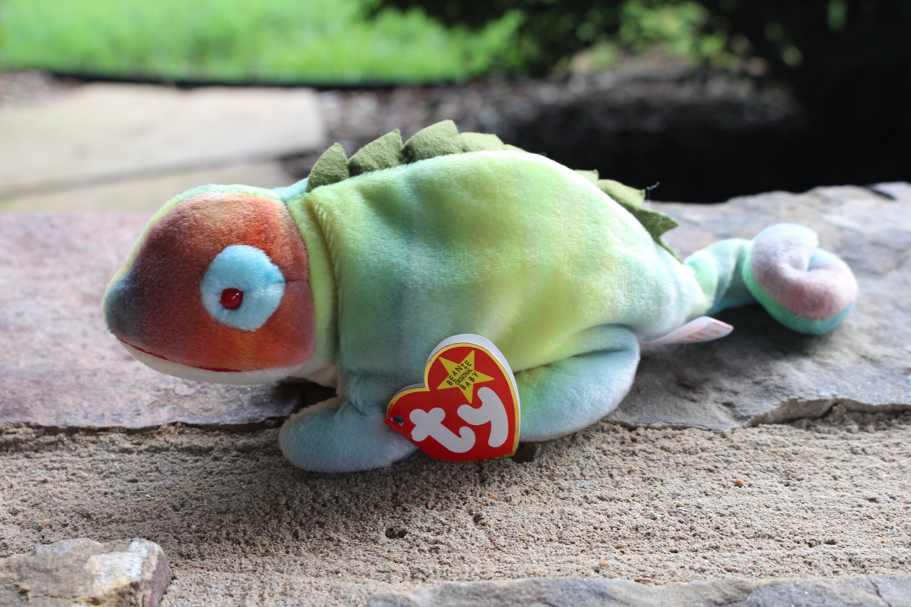 Valuable Beanie Iggy The Iguana Beanie Baby Value Iggy Beanie