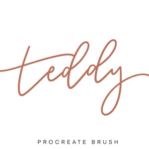 Teddy procreate brush / instant download / Procreate Bouncy Brush / Brush Lettering / iPad Lettering / Procreate Brush / Modern Calligraphy
