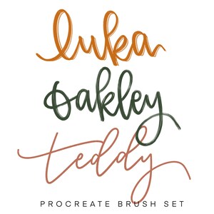 Procreate Brush Set / 3 Pack / Procreate / instant download / Procreate Bouncy Brush / Brush Lettering / iPad Lettering / Modern Calligraphy