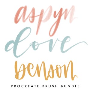 Procreate Brush Set / 3 Pack / Procreate / instant download / Procreate Bouncy Brush / Brush Lettering / iPad Lettering / Modern Calligraphy