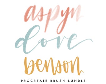 May include: A Procreate brush bundle with the words "aspen dove benson" written in a stylized font. The words are in different colors: pink, blue, and yellow.