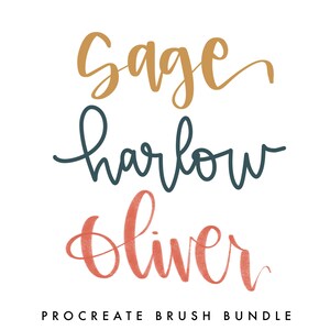 Procreate Brush Set / 3 Pack / Procreate / instant download / Procreate Bouncy Brush / Brush Lettering / iPad Lettering / Modern Calligraphy