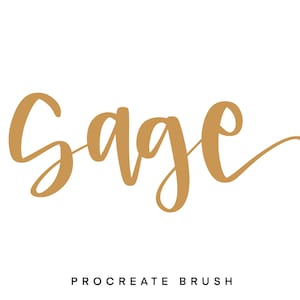 Sage procreate brush / instant download / Procreate Bouncy Brush / Brush Lettering / iPad Lettering / Procreate Brush / Modern Calligraphy