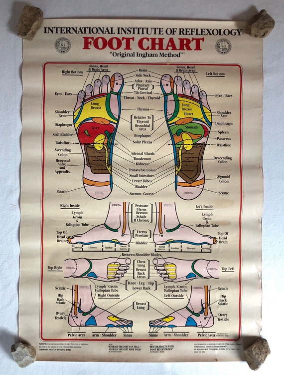 International Institute Of Reflexology Foot Chart