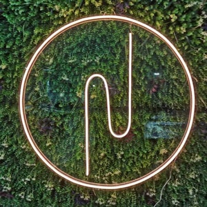 May include: A white neon sign in the shape of the letter "N" is displayed in a circle against a green wall of artificial foliage.