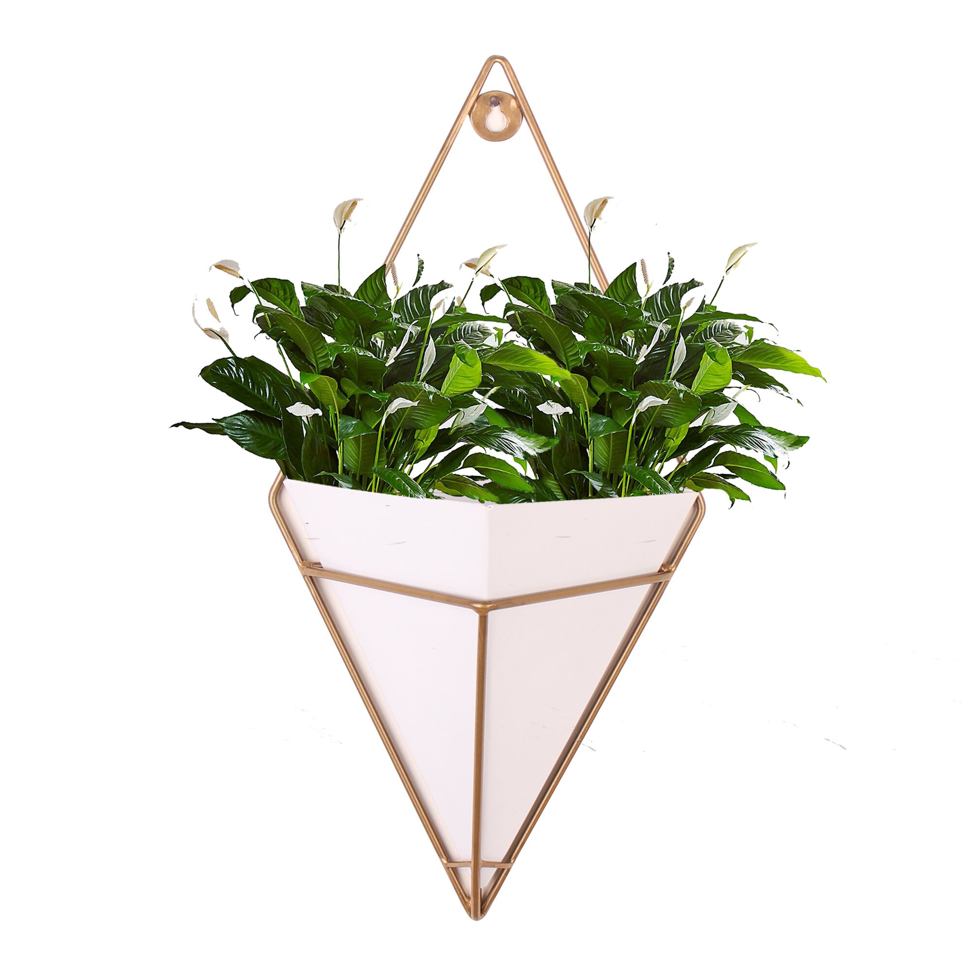 Wall hanging planter outdoor/Indoor Metal Planter 16 inch | Etsy