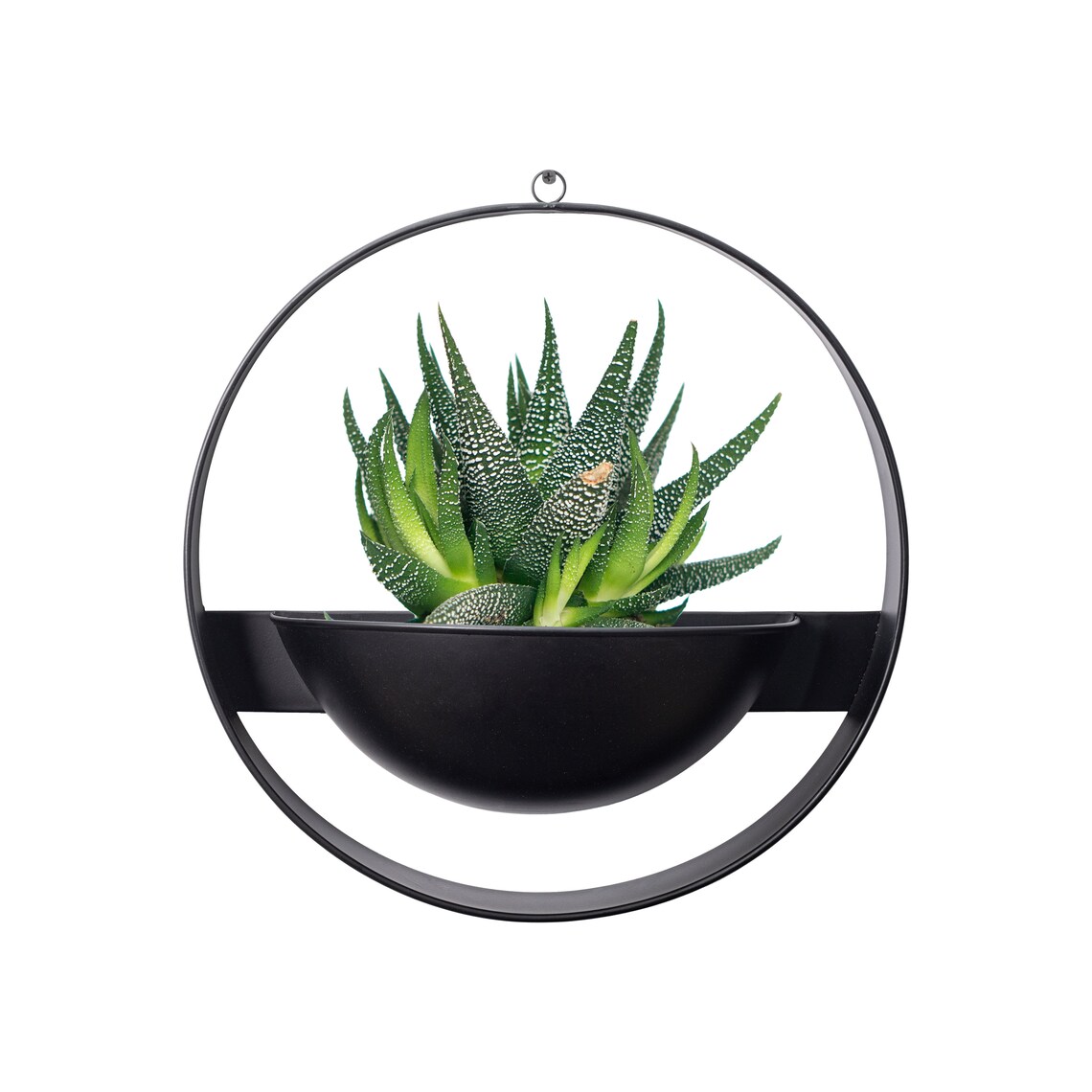 Wall Hanging Planter for Balcony/outdoor Wrought Iron With - Etsy