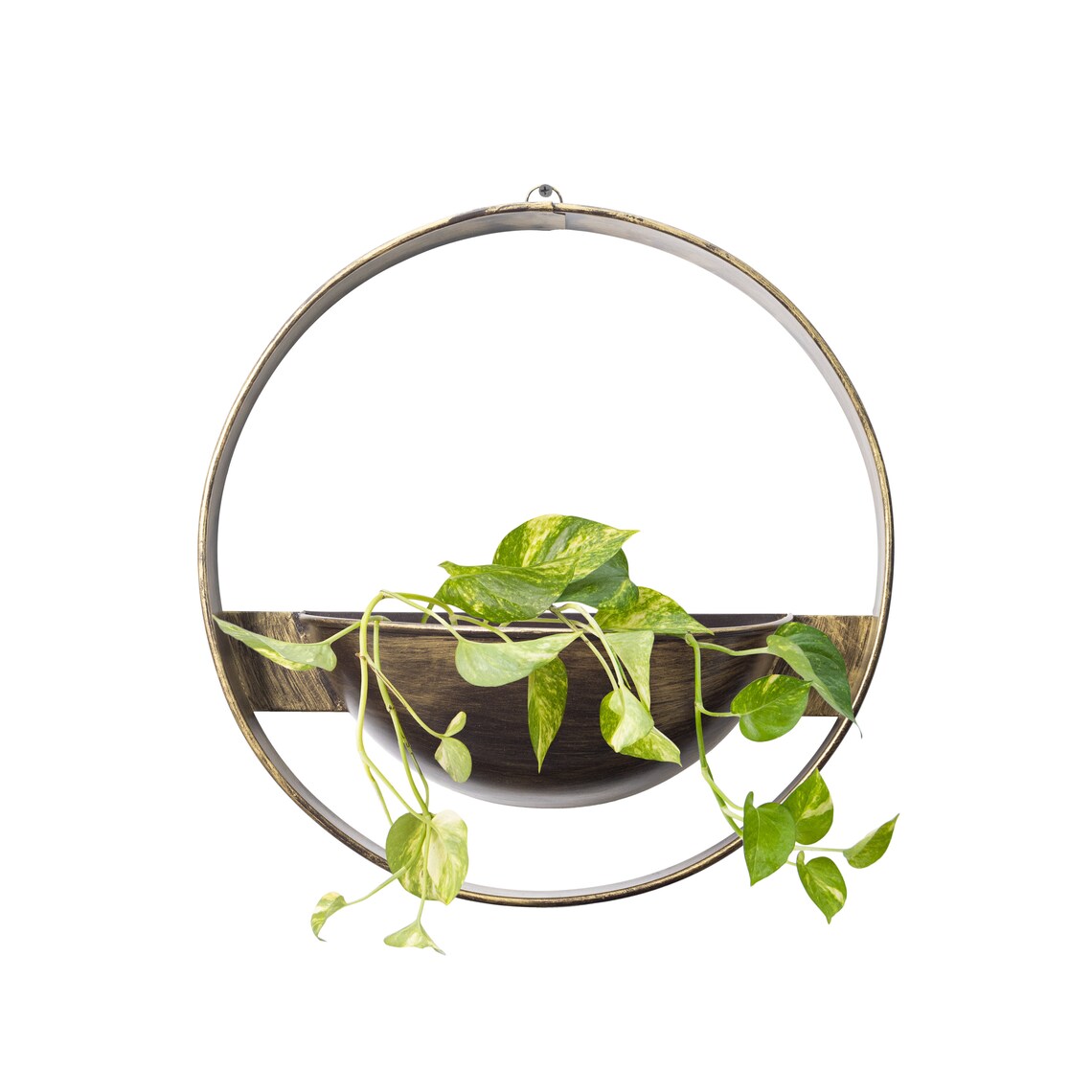 Wall Hanging Planter for Balcony/outdoor Wrought Iron With - Etsy