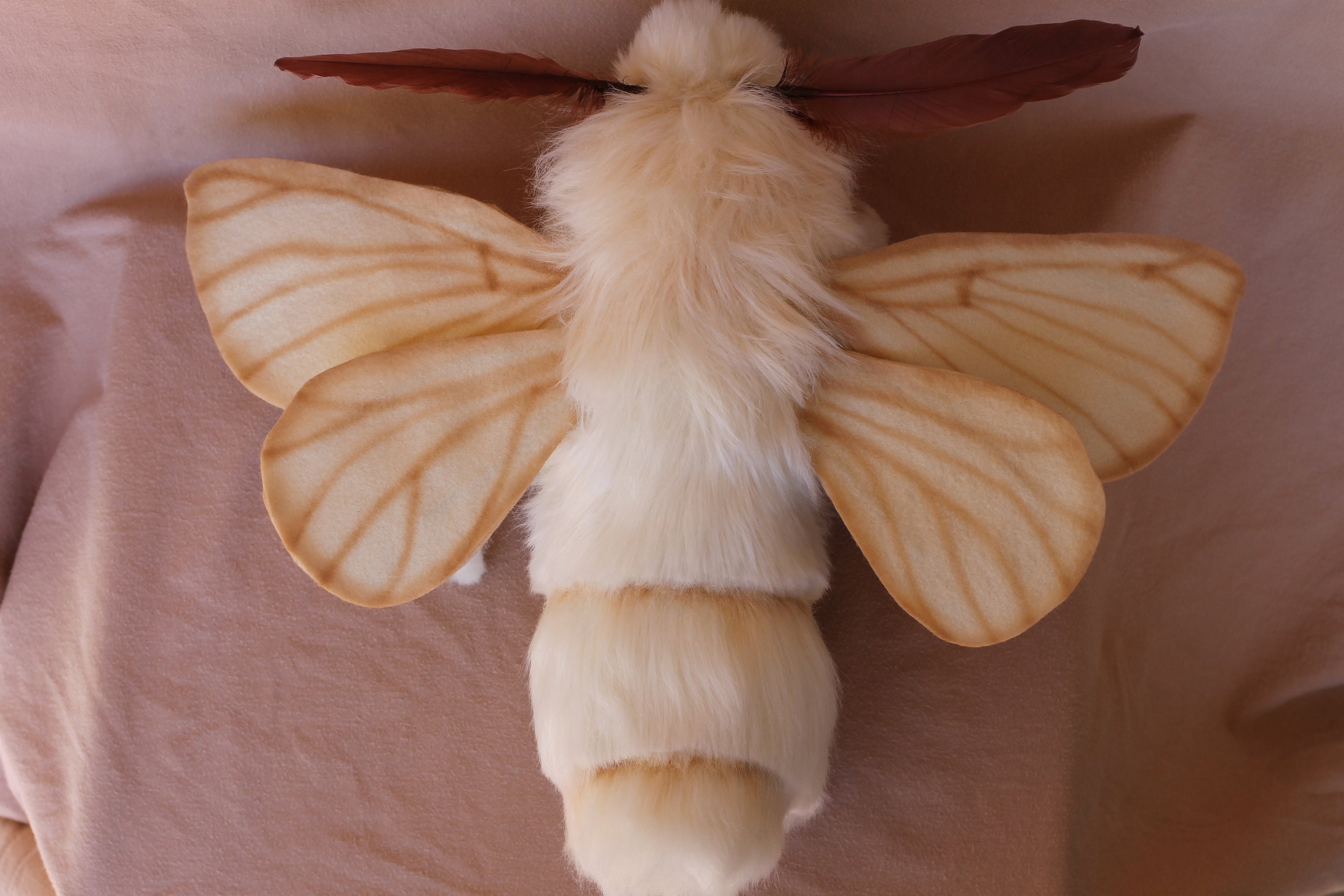 Papillon de nuit Poupée artistique Peluche papillon de nuit en soie  Créature fantastique posable -  Canada