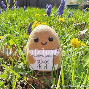 May include: A plush potato toy with a smiling face and black button eyes, holding a sign that reads "positive potato yukon do it!" The toy is set in a field of green grass, yellow dandelions, and purple flowers.