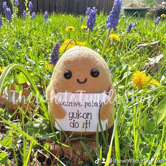 Handmade Desk Spuddy™, Positive Potato Office Decoration, Back to School, Stocking Stuffer, Mental Health Gift, Cute Gift