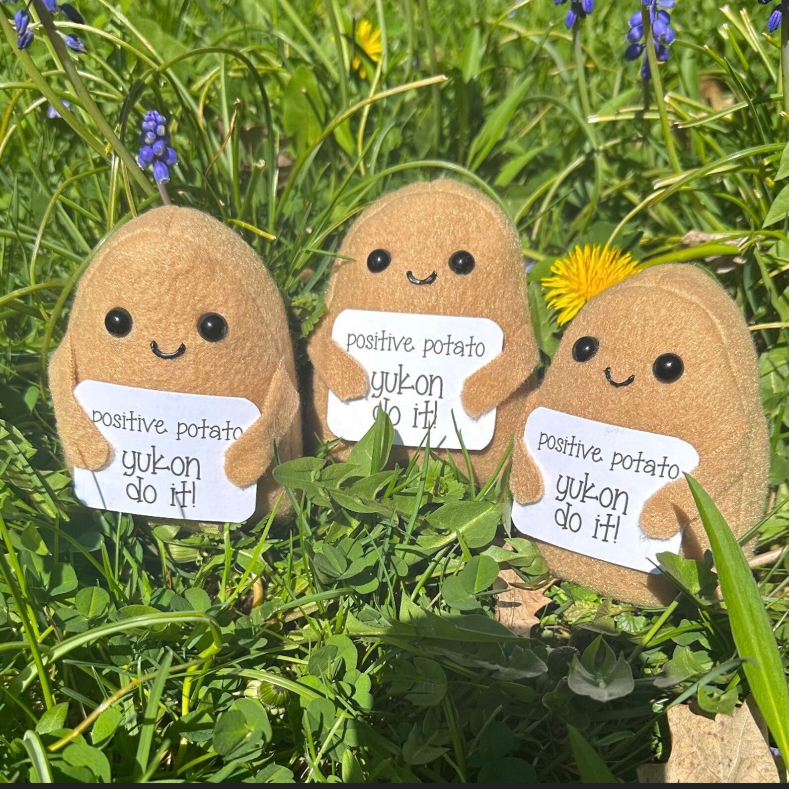 Handmade Desk Spuddy™, Positive Potato Office Decoration, Back to ...