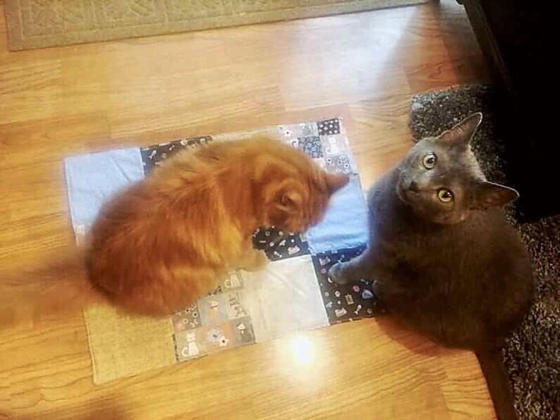 Pet Quilt Puppy Love Blue