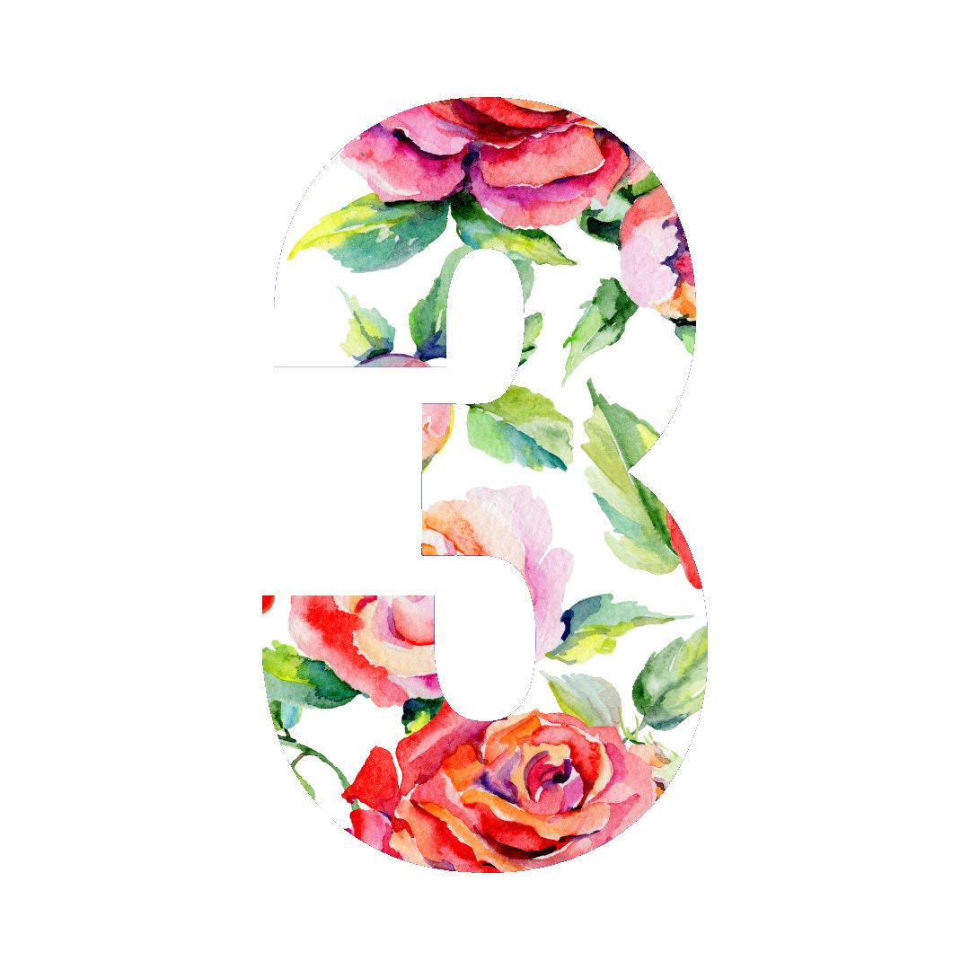 Red Roses Letters and Numbers, Red Roses Alphabet, Red Roses Digital ...