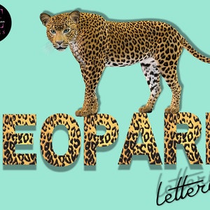 Leopard Print Letters and Numbers, Leopard Print Alphabet, Leopard Digital Alphabet, Leopard Print Clipart, Leopard Printable Letters, PNG