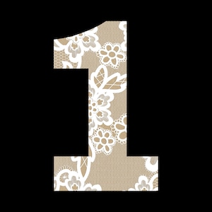 May include: A white lace number one with a beige background. The lace has a floral pattern.