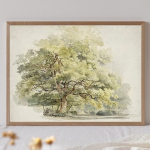 Vintage Oak Tree Drawing, Landscape Tree Painting, Antique Botanical Art, Vintage Watercolor Print, Nature Wall Art, Printable Art