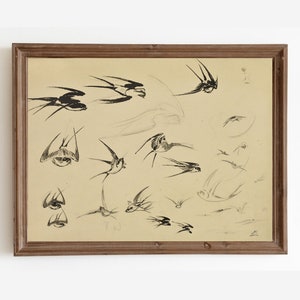 Vintage Bird Painting, Swallow Bird Sketch, Farmhouse Decor, Bird Drawing, Neutral Antique Art Print, PRINTABLE Art