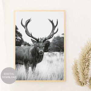 Hirsch Kunstdruck, Waldtier Wandkunst, Schwarz-Weiß, Hirsch Druck, Tier Kunstdruck, Hirsch Fotografie, druckbares Hirsch Poster, Hirsch Wandkunst