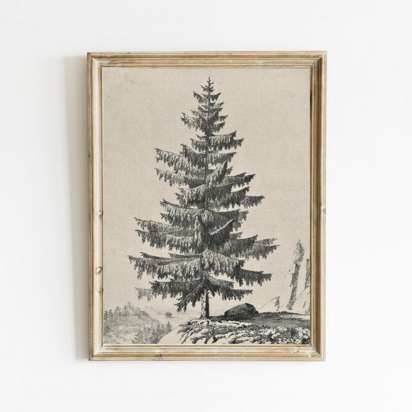 Neutral Tree Sketch, Vintage Spruce Tree Drawing, Printable Art, Pine Tree Drawing Print, Pencil Drawing, Rustic Landscape, Digital Download