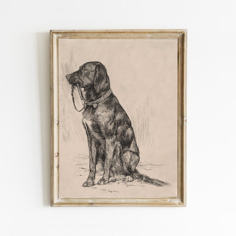 Op de afbeelding: Een zwart-witte lijntekening van een hond die zit met zijn hoofd naar de zijkant gedraaid. De hond draagt een halsband en heeft een riem in zijn bek.
