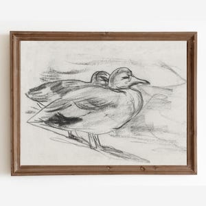 Vintage Duck Sketch Print: Farmhouse Style (Digital Download)