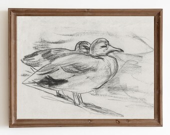 Impresión de dibujo de pato vintage: estilo rústico (descarga digital)