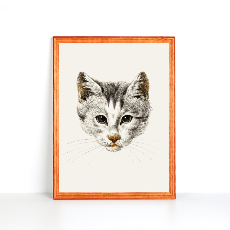 May include: A framed black and white drawing of a cat's face. The cat has gray and white fur and is looking directly at the viewer.