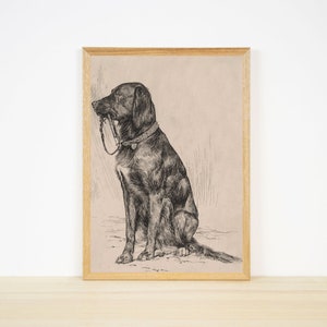 Op de afbeelding: Zwart-witte lijntekening van een hond die zit met een riem in zijn bek. De hond draagt een halsband en kijkt naar links. De tekening is op een beige achtergrond en is ingelijst in een licht houten lijst.