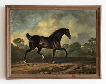 Landschaftsbild Pferd: Pferdewandbild (Kunstdruck)