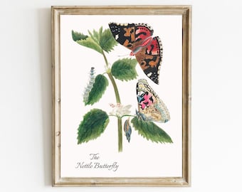 Vintage Botanical Butterfly Print, Antique Butterfly Wall Art, Plant Painting, Botanical Print, Insect Art, Nettle Butterfly, Printable Art
