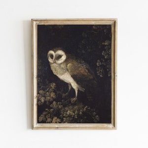 Vintage Owl Painting, Dark Academia Decor, Night Owl Print, Vintage Bird Print, Moody Art, Printable Art, Digital Prints