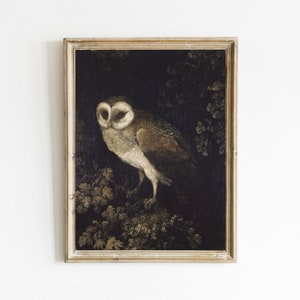 Vintage Eule Malerei, Dark Academia Dekor, Nachteule Druck, Vintage Vogel Druck, Moody Art, druckbare Kunst, Digitaldrucke