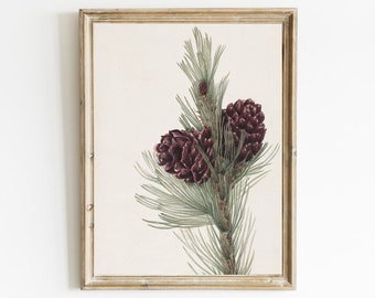 Winter Botanical Art Print, Pine Tree Branch Drawing, Country Farmhouse Decor, Digital Download, Winter Printable Art