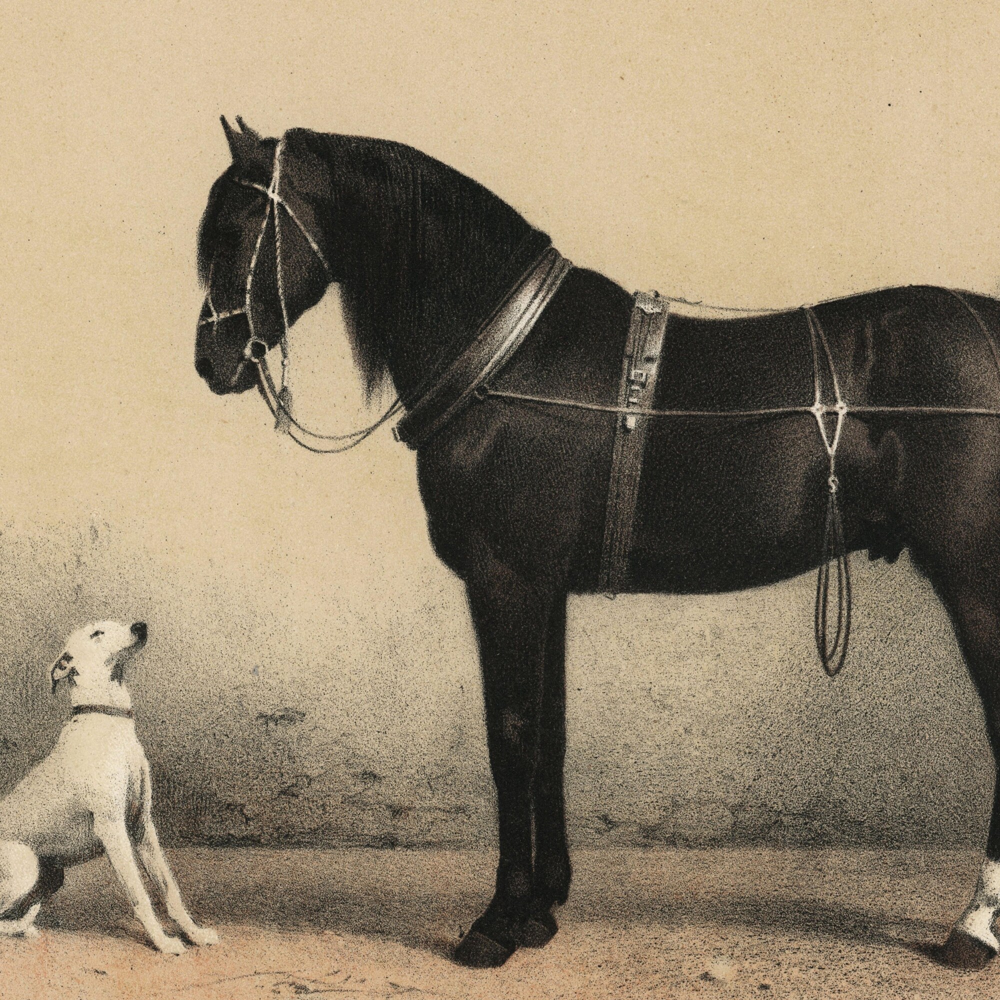 Horse and Dog Painting Animal Wall Art Vintage Dog Print Etsy