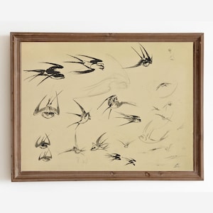 Vintage Bird Painting, Swallow Bird Sketch, Farmhouse Decor, Bird Drawing, Neutral Antique Art Print, PRINTABLE Art