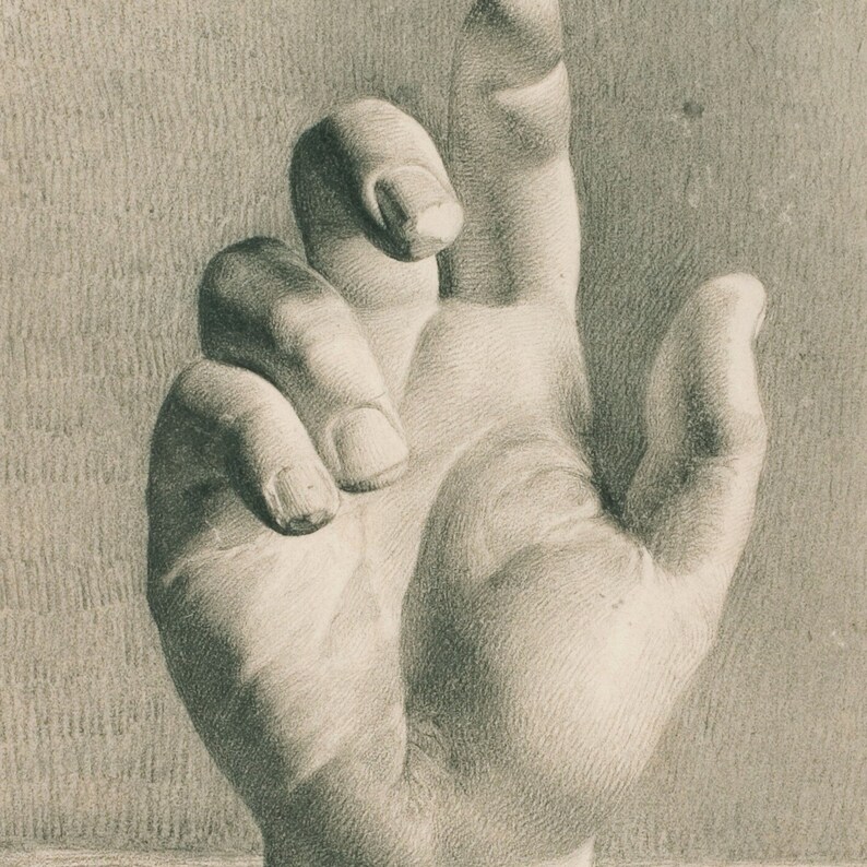 May include: A close-up of a hand with the fingers curled inwards, drawn in shades of grey.