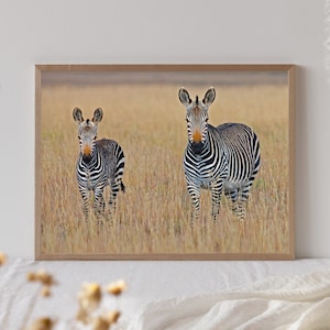 Zebra Wall Art Print, Safari Animal Print, Zebra Wall Decor, Zebra Print, Safari Nursery Art, Zebra Animal Poster, Zebra Decor, Zebra Art