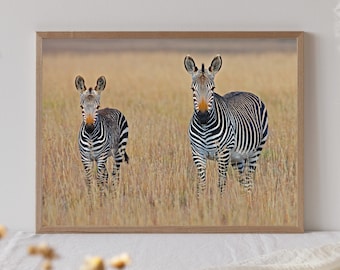 Zebra Safari Animal Print: Nursery Wall Art (Digital Download)