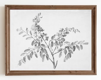 ヴィンテージ植物の枝のスケッチ：ファームハウスアートプリント（デジタルダウンロード）