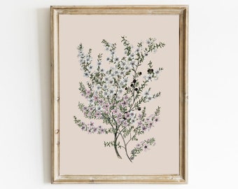 Vintage Botanical Flower Print: Neutral Floral Wall Art (Digital Download)