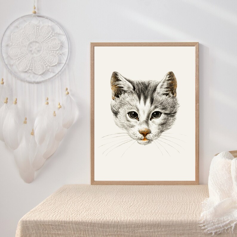 May include: A black and white illustration of a cat's face with a white background. The cat has gray fur with white markings and a black nose.