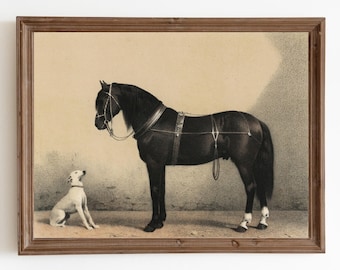 Vintage Horse and Dog Print: Antique Animal Wall Art (Digital Download)