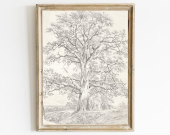Vintage Oak Tree Sketch: French Country Botanical Print (Digital Download)