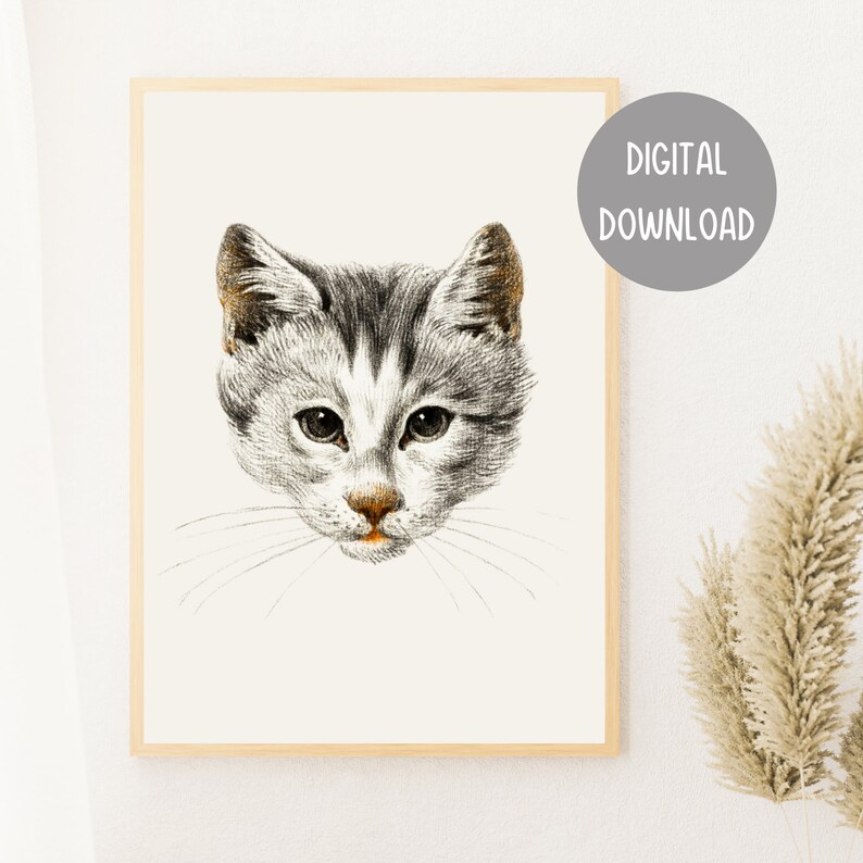 May include: A black and white illustration of a cat's face. The cat has a white stripe on its forehead and a white patch on its chin. The cat's eyes are closed.
