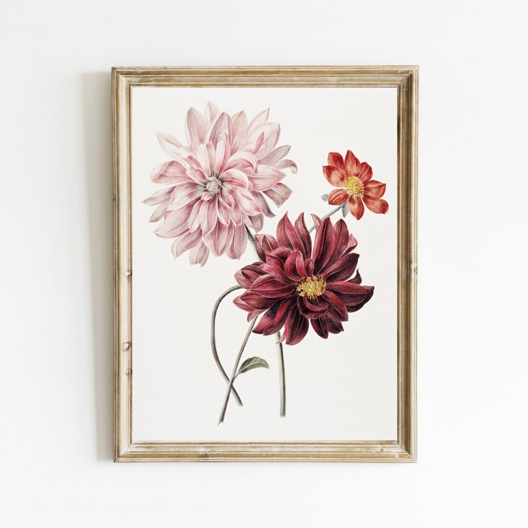 Vintage Botanical Wall Art, Antique Flower Painting, Floral Wall Art ...