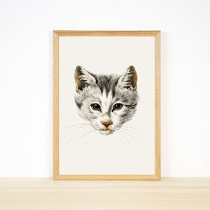 May include: A framed black and white drawing of a cat's face. The cat has gray and white fur and is looking directly at the viewer.