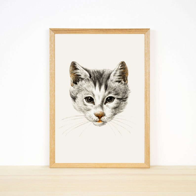 May include: A framed black and white drawing of a cat's face. The cat has gray and white fur and is looking directly at the viewer.