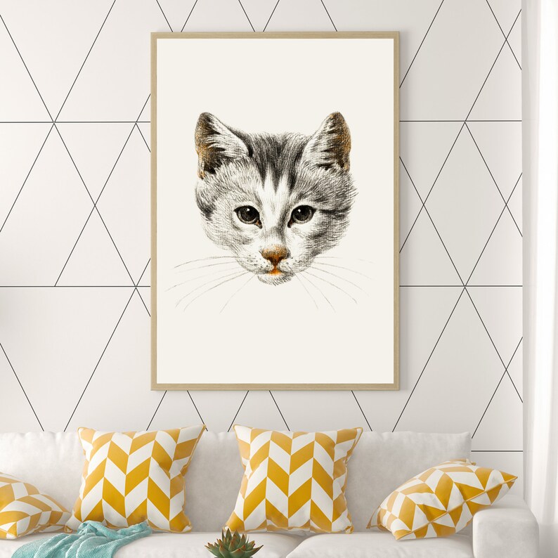 May include: A black and white drawing of a cat's face with a white background. The cat has gray fur and a white patch on its chest. The cat's eyes are black and its nose is pink.
